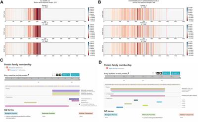Interpretable Deep Learning Model Reveals Subsequences of Various Functions for Long Non-Coding RNA Identification